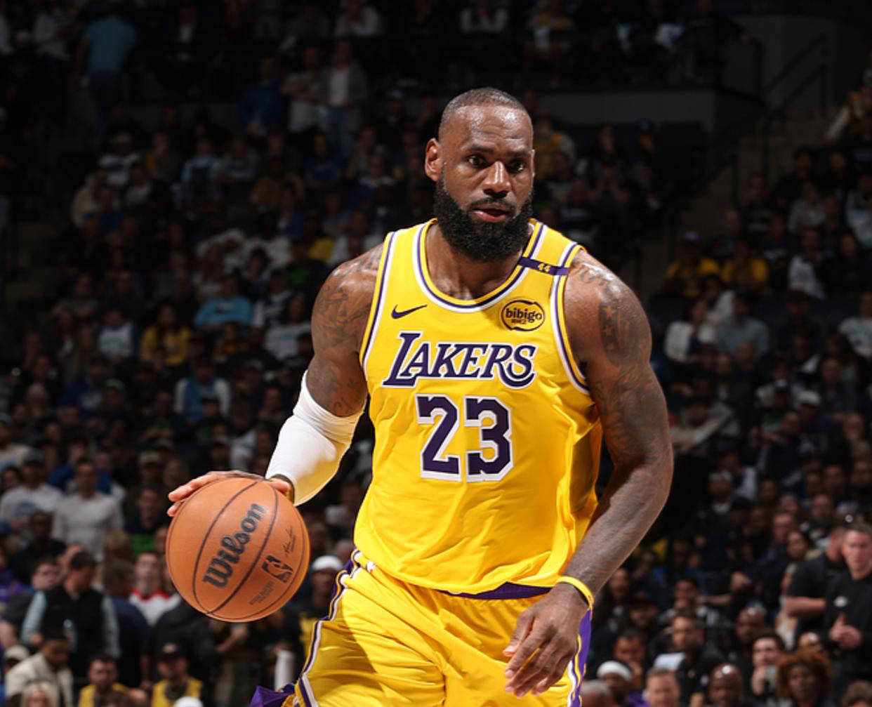 詹姆斯在德国队比赛中逆转，出色防守引发热议！